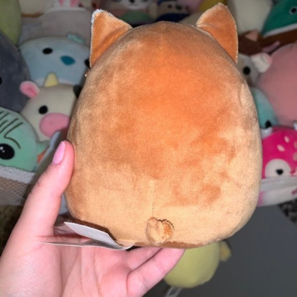 5\" Valentine's Reginald the Corgi Squish - Picture 2 of 2